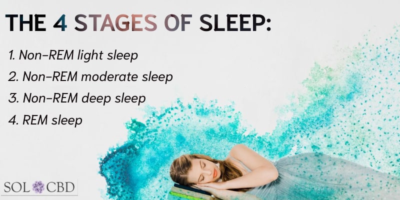 The Science of Sleep