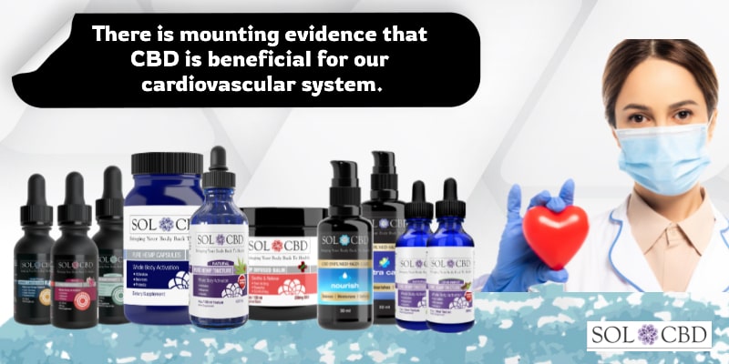 There is mounting evidence that CBD is beneficial for our cardiovascular system.
