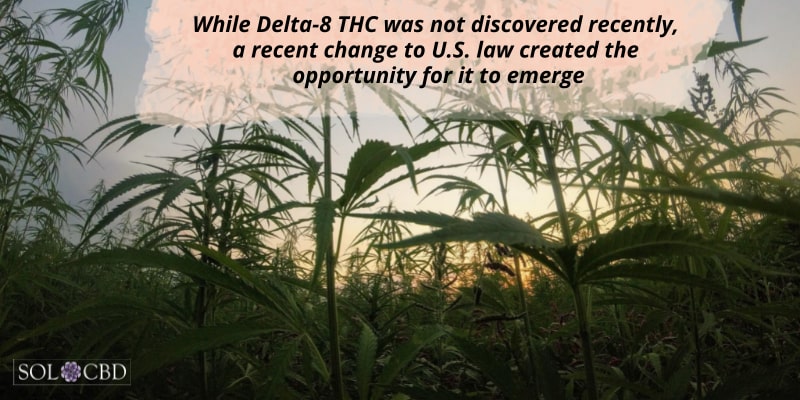 While Delta-8 THC was not discovered recently, a recent change to U.S. law created the opportunity for it to emerge.