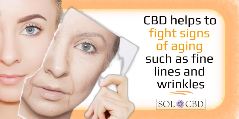 CBD helps to fight signs of aging such as fine lines and wrinkles.