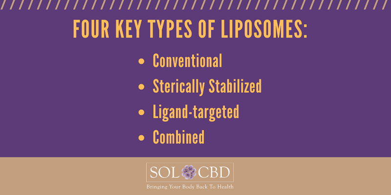 What is Liposomal Delivery?
