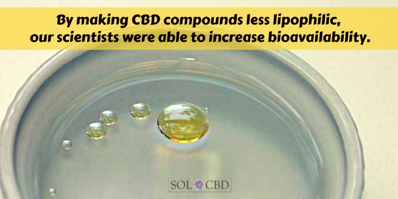 By making CBD compounds less lipophilic, our scientists were able to increase bioavailability.