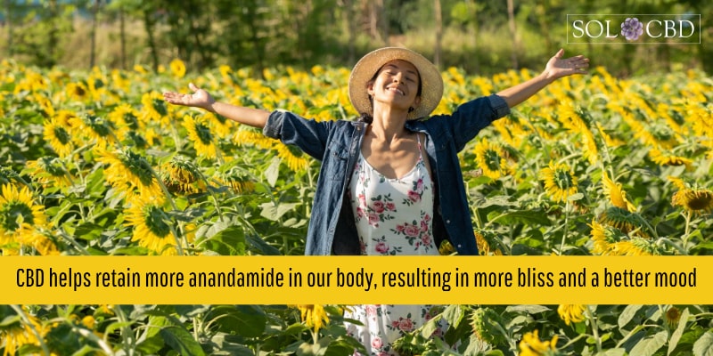 CBD helps retain more anandamide in our body, resulting in more bliss and a better mood.