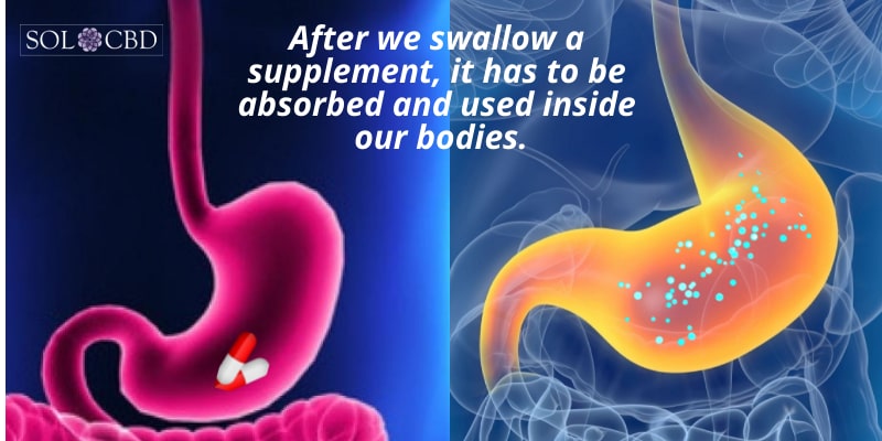 After we swallow a supplement, it has to be absorbed and used inside our bodies.