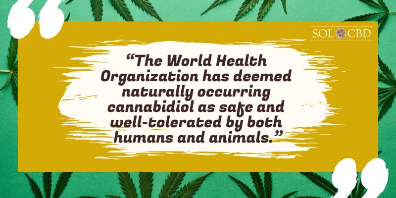 The World Health Organization has deemed naturally occurring cannabidiol as safe and well-tolerated by both humans and animals.