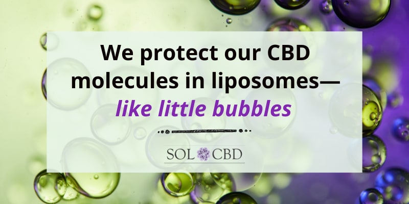 We protect our CBD molecules in liposomes—like little bubbles.