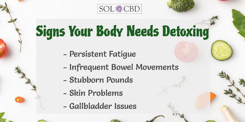 Signs Your Body Needs Detoxing