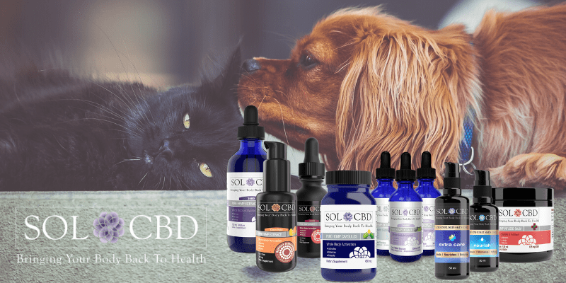 As a pet owner, it is legal to administer CBD to your pet as long as it is legal to buy for yourself.