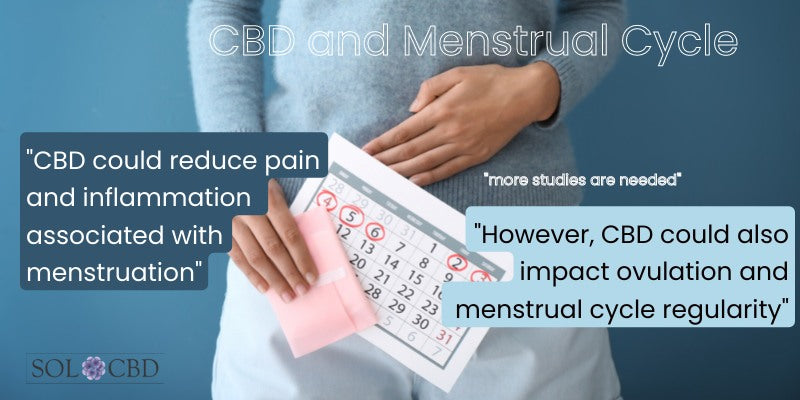 CBD and Menstrual Cycle - Effects on Ovulation and Menstruation