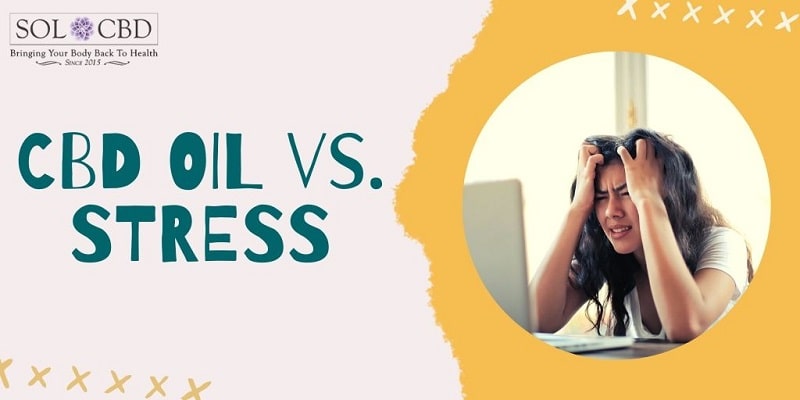 CBD Oil vs. Stress