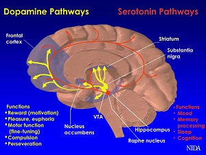 CBD TREATMENT FOR SCHIZOPHRENIA: Additional Disorders