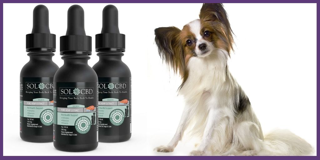 SOL*CBD’s patent-pending CELLg8® liposomal delivery system for pets.