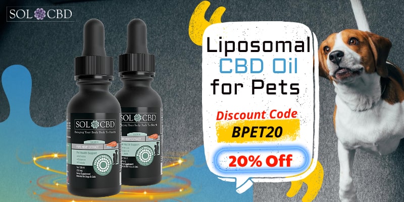 20% off Liposomal Pet CBD for your Dog