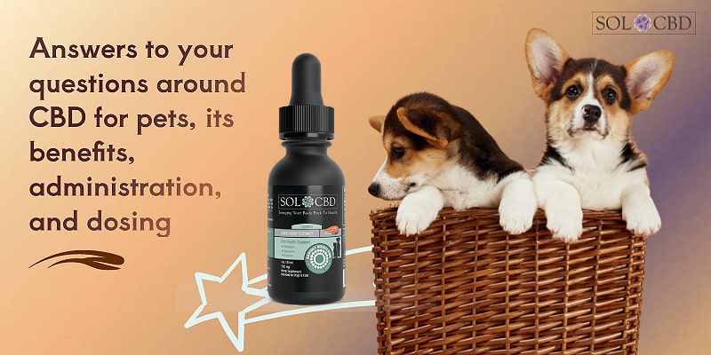 Answers to your questions around CBD for pets, its benefits, administration, and dosing.