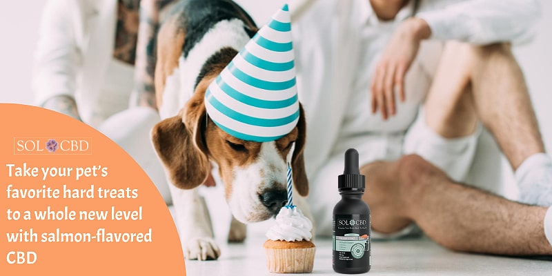 Take your pet’s favorite treats to a whole new level with salmon-flavored CBD.