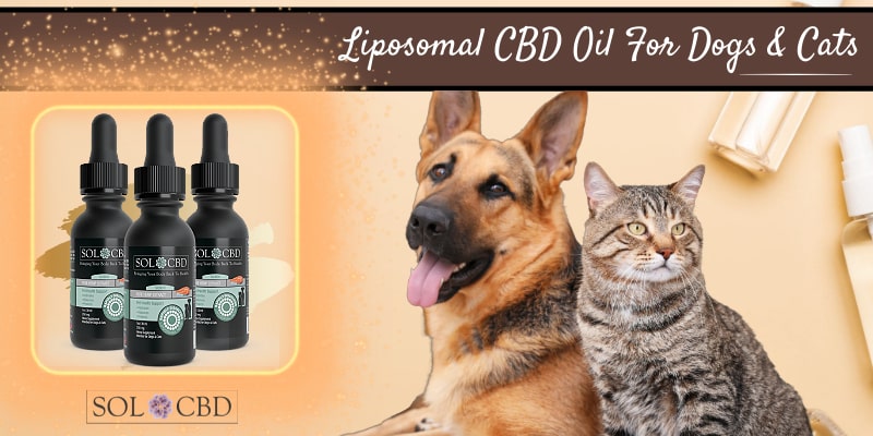 Liposomal CBD Oil for Dogs and Cats