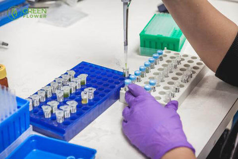 Precise lab-testing is critical to optimizing one’s cannabis regimen.