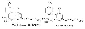 What is CBD: THC & CBD Molecules
