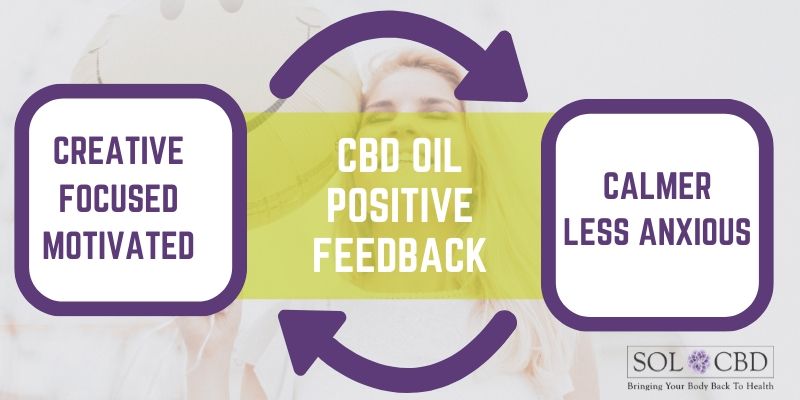 CBD’s impact on the serotonin receptors: body’s nice little positive feedback loop!