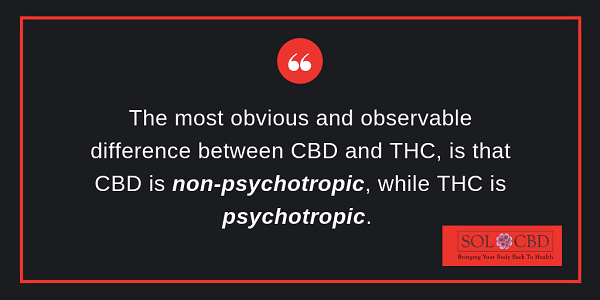 Differences between THC and CBD