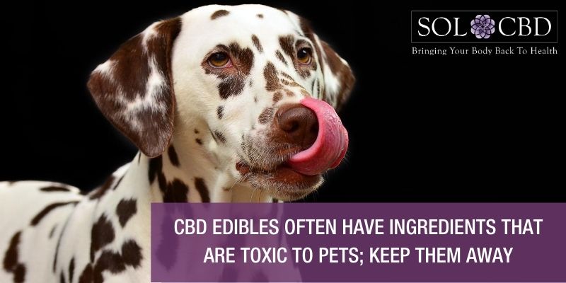 The AVMA wants research to support confidence in the efficacy, quality, and safety of CBD products for pets. 