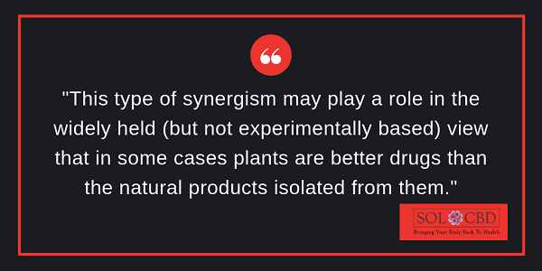CBD Oil Fact #3: The Amazing Entourage Effect
