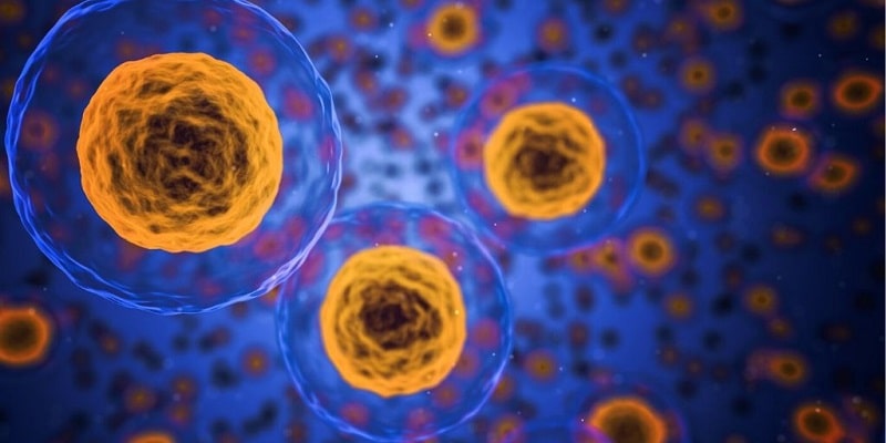 What are liposomes?