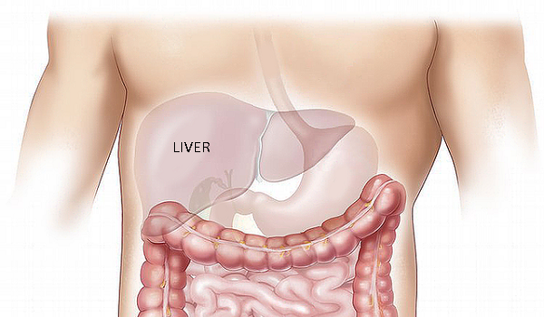 CBD oil seems to inhibit the metabolization of hepatic drugs.