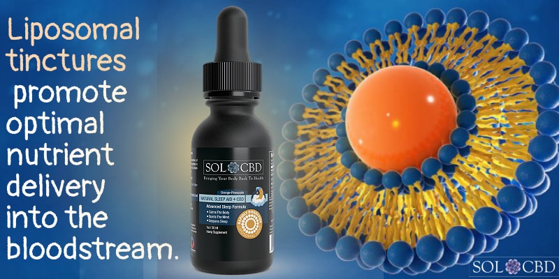 Liposomal tinctures promote optimal nutrient delivery into the bloodstream.