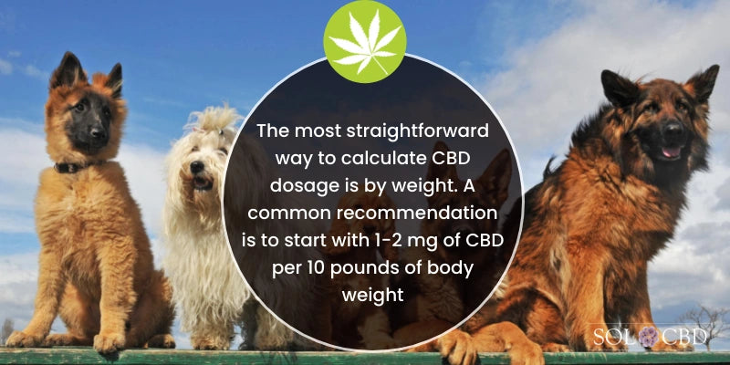 When it comes to administering CBD to your dog, finding the optimal dosage is key.