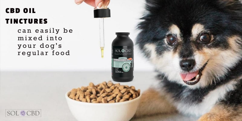 CBD oil tinctures can easily be mixed into your dog’s regular food.