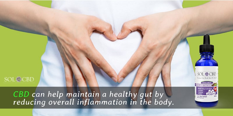 CBD can help maintain a healthy gut by reducing overall inflammation in the body.