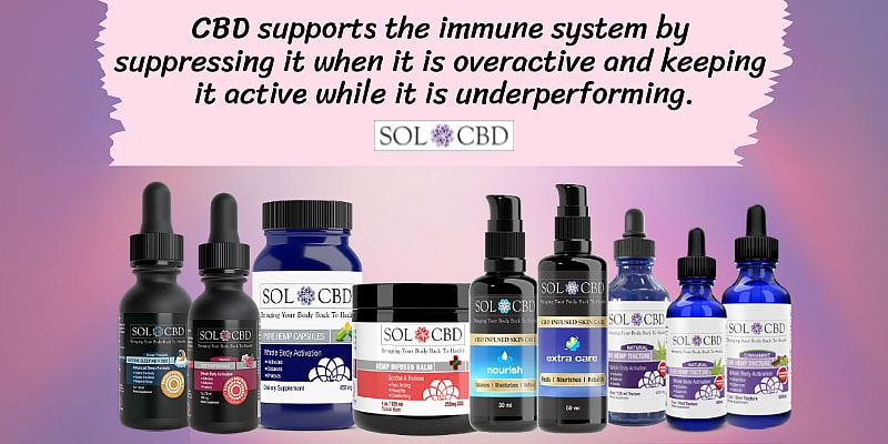 CBD supports the immune system by suppressing it when it is overactive and keeping it active while it is underperforming.