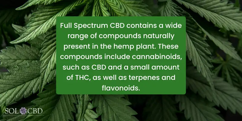 What is Full Spectrum CBD?