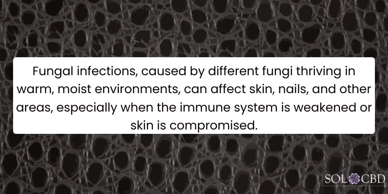 Understanding Fungal Infections