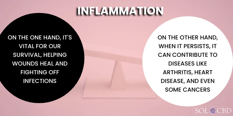 Understanding Inflammation and Its Impact on The Body