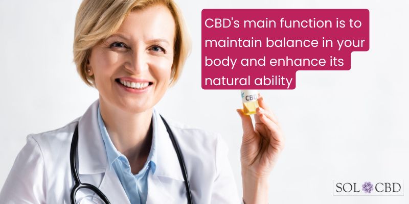 CBD's main function is to maintain balance in your body and enhance its natural ability to reduce inflammation, regulate pain, improve sleep, and more…