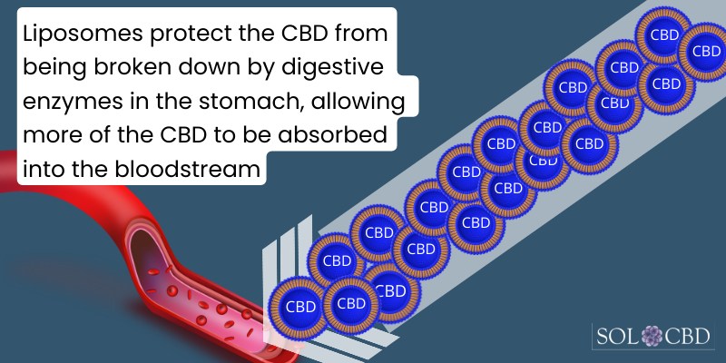 What is Liposomal CBD for dogs and how does it work?