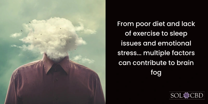 Brain fog can be caused by a combo of poor diet, lack of exercise, sleep deprivation, and even emotional stress.