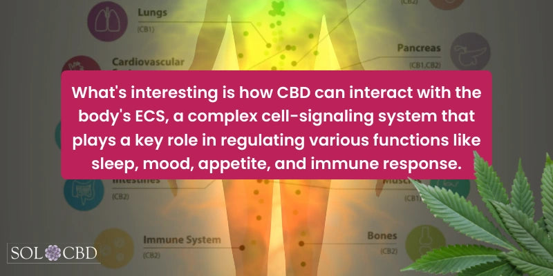 The way CBD potentially functions to modulate inflammation involves its interaction with a complex biological system within our bodies known as the endocannabinoid system (ECS).