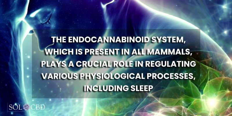The endocannabinoid system, which is present in all mammals, plays a crucial role in regulating various physiological processes, including sleep.
