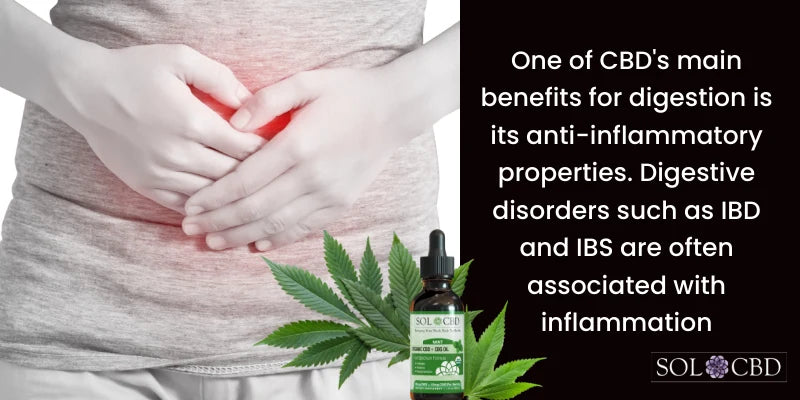 One of CBD's main benefits for digestion is its anti-inflammatory properties.