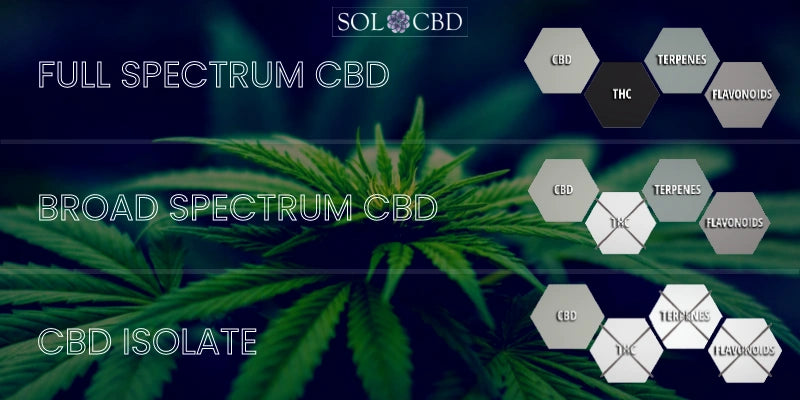 Full-Spectrum CBD, Broad-Spectrum CBD, and CBD Isolate