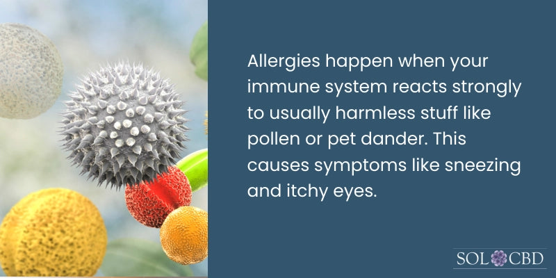 What Causes Allergies?