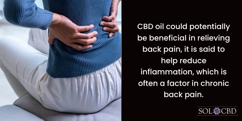 Effectiveness of CBD Oil for Back Pain