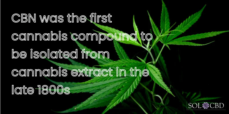 CBN was the first cannabinoid to be isolated and identified, predating the discovery of THC.
