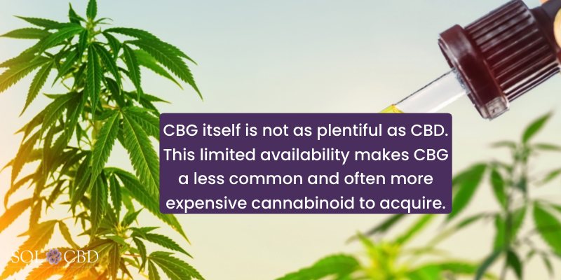 Due to CBG's natural transformation into other cannabinoids like CBD and THC, CBG itself is not as abundant as CBD.