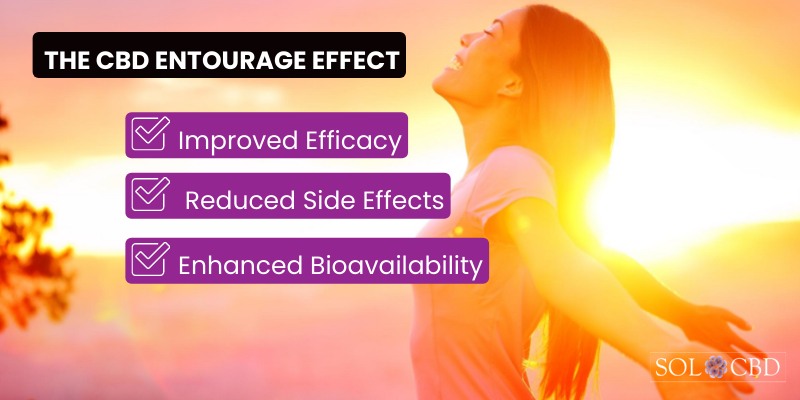 How CBD entourage effect amplifies the advantages of using CBD.