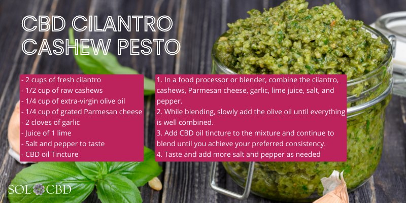 CBD cilantro cashew pesto