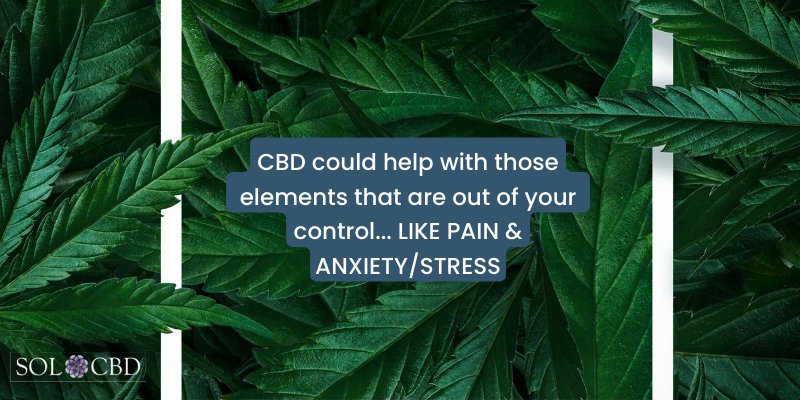Evidence suggests that taking CBD products before bedtime could result in improved quality of sleep in some people.